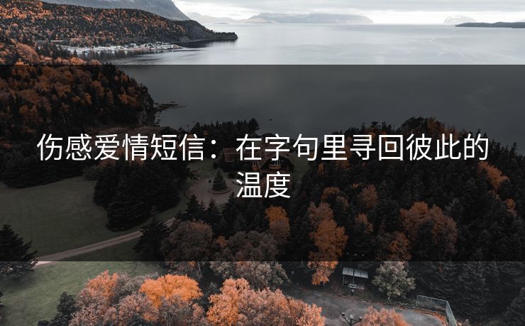 伤感爱情短信：在字句里寻回彼此的温度